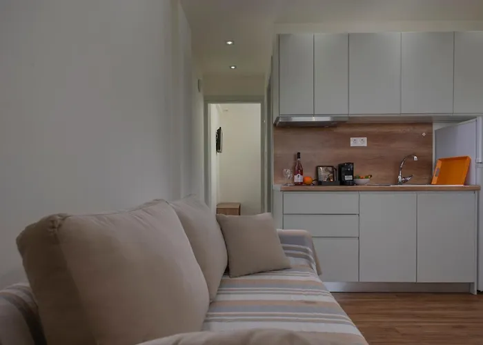 Delejo & 弗洛伊塔